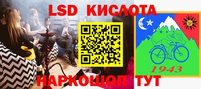 Альфа ПВП Можга