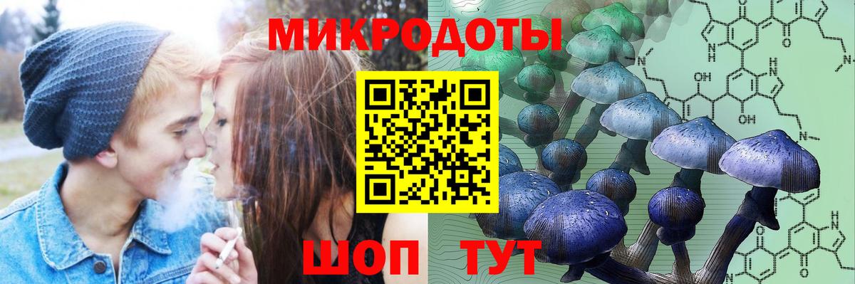 Галлюциногенные грибы Magic Shrooms Энгельс